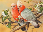 Birds 15 - Full Drill Diamond Painting - Specially ordered for you. Delivery is approximately 4 - 6 weeks. Online Hot Sale