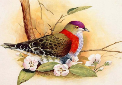 Birds 12 - Full Drill Diamond Painting - Specially ordered for you. Delivery is approximately 4 - 6 weeks. Online Sale