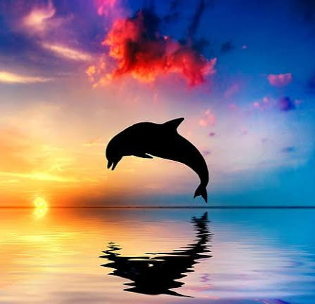 Beautiful Dolphin 2- Full Drill Diamond Painting - Specially ordered for you. Delivery is approximately 4 - 6 weeks. Sale