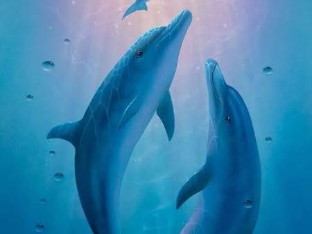 3 dolphins - Full Drill Diamond Painting - Specially ordered for you. Delivery is approximately 4 - 6 weeks. Supply