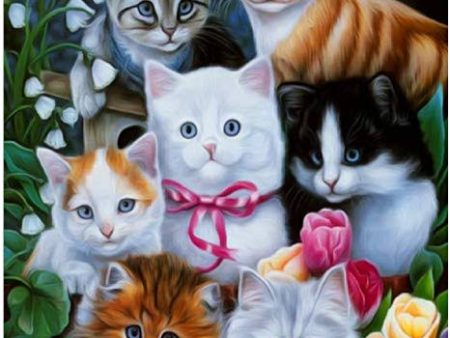 7 Cats - Full Drill Diamond Painting - Specially ordered for you. Delivery is approximately 4 - 6 weeks. Online Sale