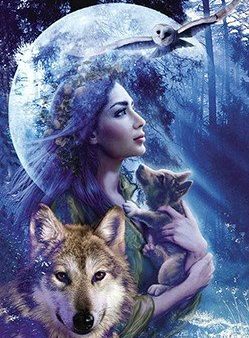 Beauty Owl and Wolf - Full Drill Diamond Painting - Specially ordered for you. Delivery is approximately 4 - 6 weeks. For Sale