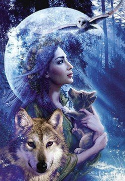 Beauty Owl and Wolf - Full Drill Diamond Painting - Specially ordered for you. Delivery is approximately 4 - 6 weeks. For Sale