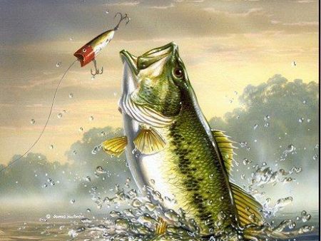 Fishing  - Full Drill Diamond Painting - Specially ordered for you. Delivery is approximately 4 - 6 weeks. Hot on Sale