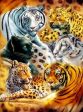 Big Cats - Full Drill Diamond Painting - Specially ordered for you. Delivery is approximately 4 - 6 weeks. For Sale