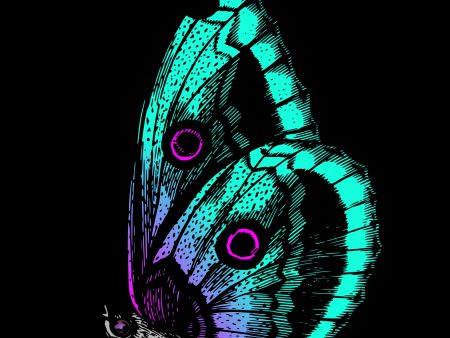 Black Background Butterfly - Full Drill Diamond Painting - Specially ordered for you. Delivery is approximately 4 - 6 weeks. For Discount