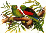 Birds 16 - Full Drill Diamond Painting - Specially ordered for you. Delivery is approximately 4 - 6 weeks. Cheap