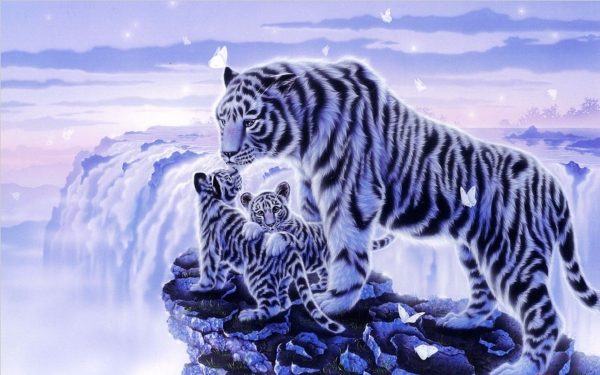 Black And White Tigers - Full Drill Diamond Painting - Specially ordered for you. Delivery is approximately 4 - 6 weeks. Online