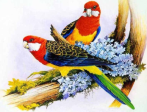 Birds 14- Full Drill Diamond Painting - Specially ordered for you. Delivery is approximately 4 - 6 weeks. Online