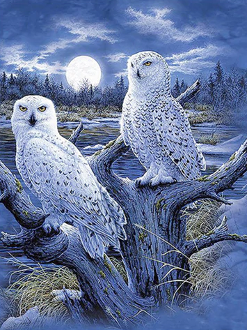 2 White Owls - Full Drill Diamond Painting - Specially ordered for you. Delivery is approximately 4 - 6 weeks. Sale