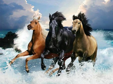 3 Horses Splashing - Full Drill Diamond Painting - Specially ordered for you. Delivery is approximately 4 - 6 weeks. Sale