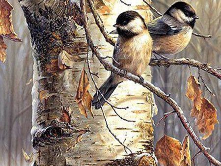 Birds In Tree - Full Drill Diamond Painting - Specially ordered for you. Delivery is approximately 4 - 6 weeks. Sale