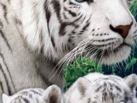 White Tigers 03- Full Drill Diamond Painting - Specially ordered for you. Delivery is approximately 4 - 6 weeks. Sale