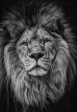 Black and white lion -  Full Drill Diamond Painting - Specially ordered for you. Delivery is approximately 4 - 6 weeks. Fashion