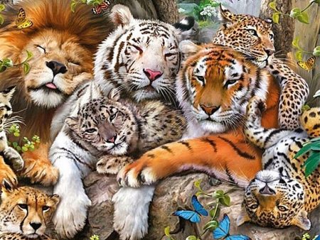 All The Big Cats - Full Drill Diamond Painting - Specially ordered for you. Delivery is approximately 4 - 6 weeks. Online