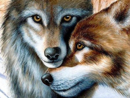 Wolf Nuzzle- Full Drill Diamond Painting - Specially ordered for you. Delivery is approximately 4 - 6 weeks. Online Hot Sale