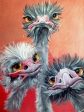 3 Emus - Full Drill Diamond Painting - Specially ordered for you. Delivery is approximately 4 - 6 weeks. Fashion