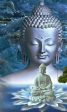 Buddah In Blue (2)- Full Drill Diamond Painting - Specially ordered for you. Delivery is approximately 4 - 6 weeks. For Sale