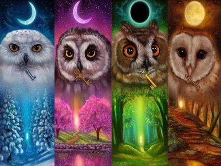 4 Seasons Owls - Full Drill Diamond Painting - Specially ordered for you. Delivery is approximately 4 - 6 weeks. Discount