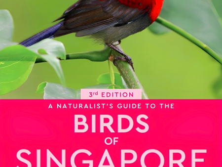 Birds Of Singapore For Discount