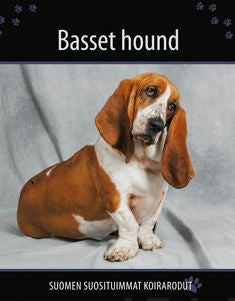 Basset hound For Cheap