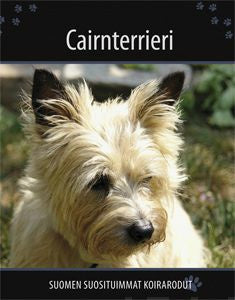 Cairnterrieri For Sale