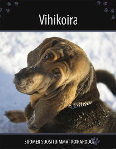 Vihikoira For Sale