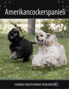 Amerikancockerspanieli Sale