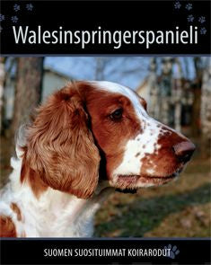 Walesinspringerspanieli Online now